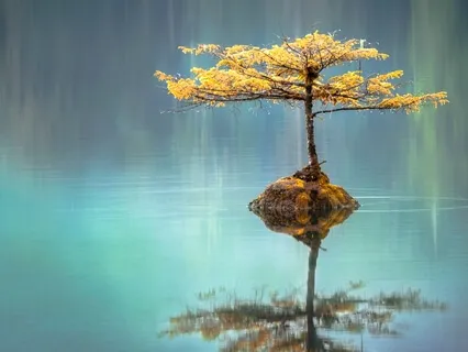 Debussy For Meditation