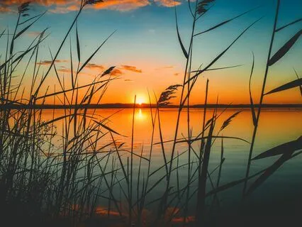 Decalcify Pineal Gland | Fibonacci Lambda Waves | 8192 Hz