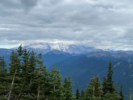 December 2024 Oracle Reading