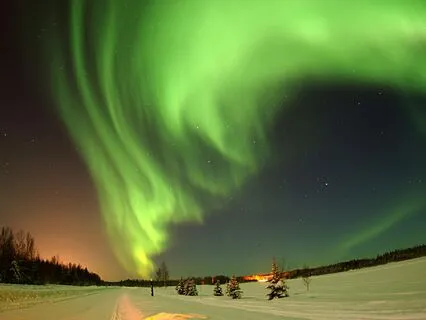 Live Piano Concert In December: The Miracle Of Life