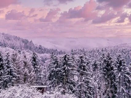 December Reset To Unwind & Decompress (EFT Tapping)