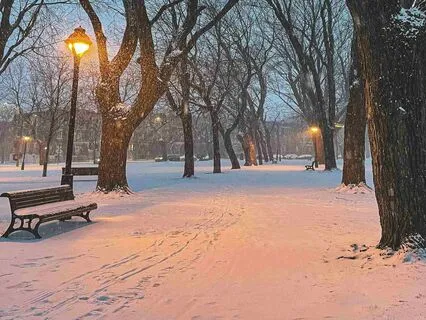 December - Silent Snowfall Reverie