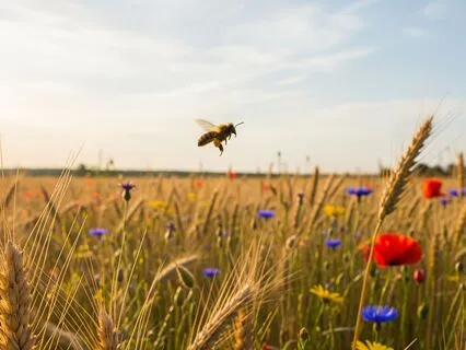 Decide To Respect Yourself More