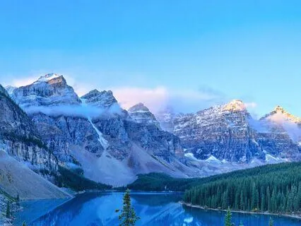 Deciduous Forest Morning Birds & Robin Song 11Hz Alpha Waves