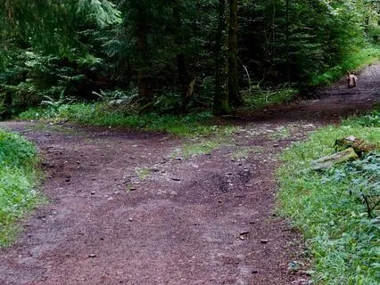 Decision-Making Clarity Meditation