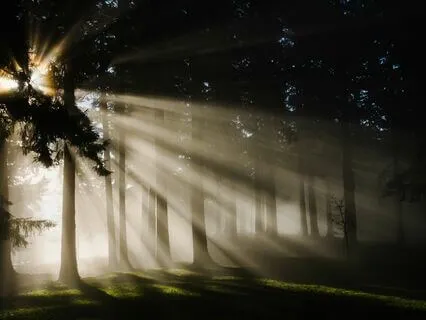 Decision Making: Following What Feels Light