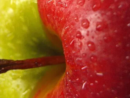 Decision-Making - What Do I Do?