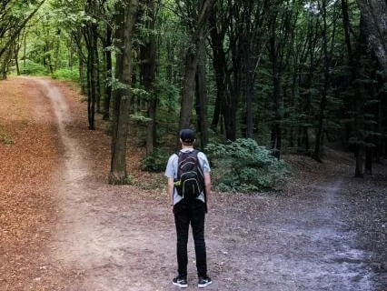 Decision Paralysis