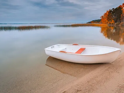 Decisions And Resolutions