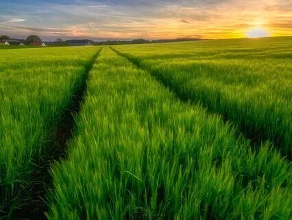 Declutter The Mind | Morning Meditation