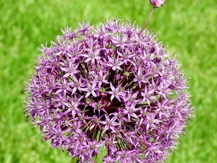 Declutter Your Brain Files