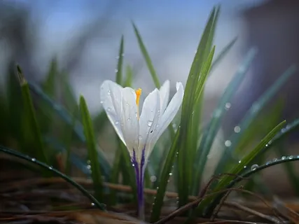 Declutter Your Mind & Let It Go