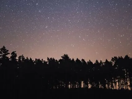 Declutter Your Mind Before Sleep: Bedtime Meditation