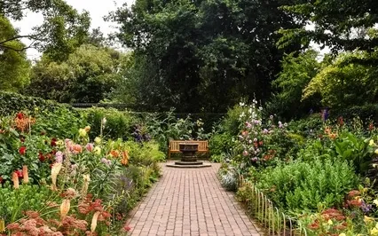 Declutter Your Mind + Heart