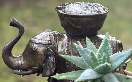 Decluttering The Mind Towards Inner Silence With Antar Mouna