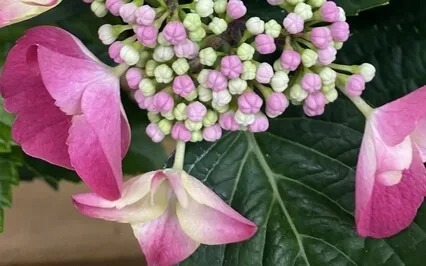 Decompress After Work