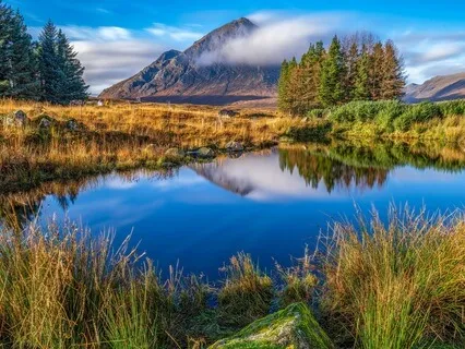 Decrease Anxiety In Minutes