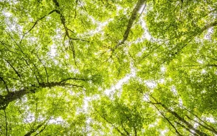 Decrease Panic Attack With 432Hz