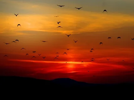 Deeeeeeeeep | XXL Version | 60 Minutes | Awesome Track For Meditation, Relaxation & Sleep