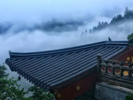 Deep Ambient Music & Nature Sounds For Meditation/Rest