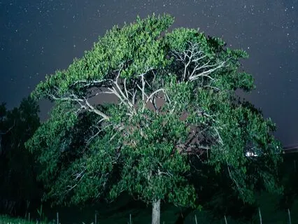 Deep Ambient - Relaxed Tones