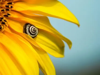 Deep Appreciation | The Calm Sleep Lofi Beats Collection