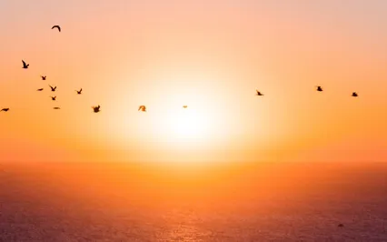 Deep Awareness Meditation