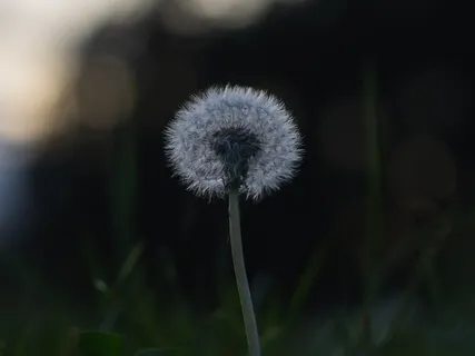 Deep Awareness: You Are Not Your Thoughts