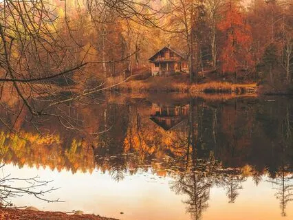 Deep Bass Frequency & Deep Brown Noise