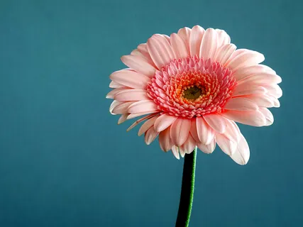 Deep - Binaural Beats & Eastern Violin For Deep Relaxation & Stress Relief