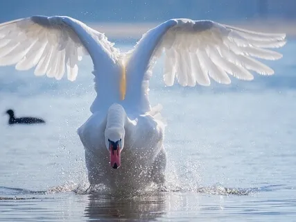 Deep Body Relaxation 