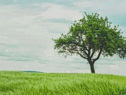 Deep Body Relaxation