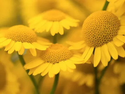 Deep Breath Practice