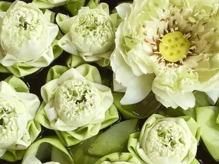 Deep Breathing For Relaxation