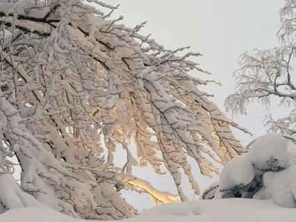 Deep Breaths & Reconnect