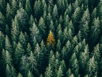 Deep Breaths For Relaxation