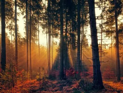 Deep Brown Noise & Piano Whispers (Tinnitus)