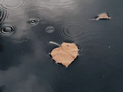 Deep Brown Noise With Nature Sounds (Thunder & Rain)