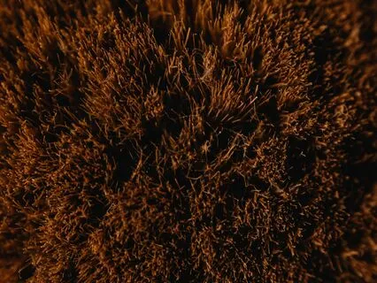 Deep Brown Noise | Steady Sound Sleep