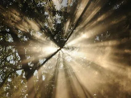 Deep Calm Frequency - 528 Hz Meditation