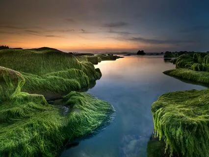 Deep Calm: Music To Restore Balance