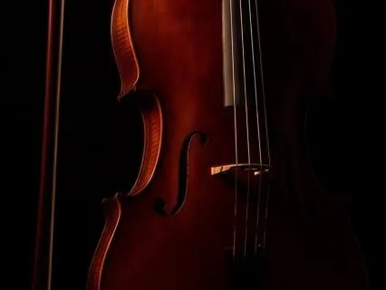 Deep Cello Resonance For Somatic Grounding