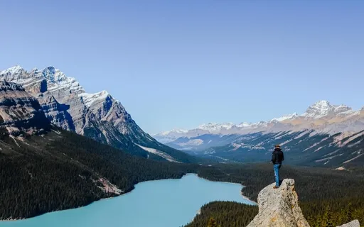 Deep Cellular Cleansing Music