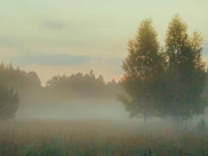 Deep Cellular Rest - Ambient Music