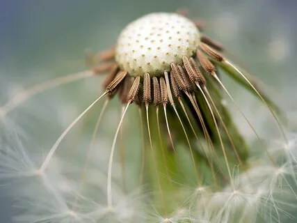 Deep Chakra Clearing And Rejuvenation