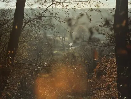 Deep Concentration: Brown Noise For Work And Study