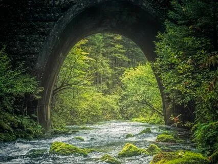 Deep Concentration: Focus Without Stress