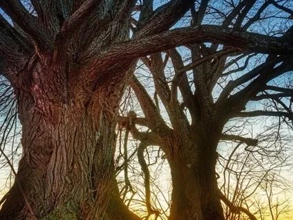 Deep Connection: A Self-Love Body Scan