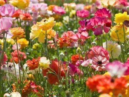 Deep Connection To Mother Earth