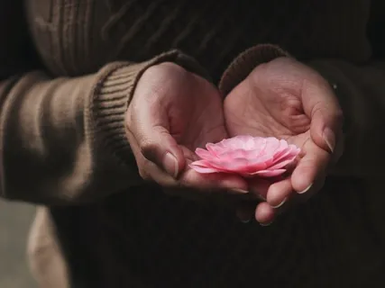 Deep Connection To Transition